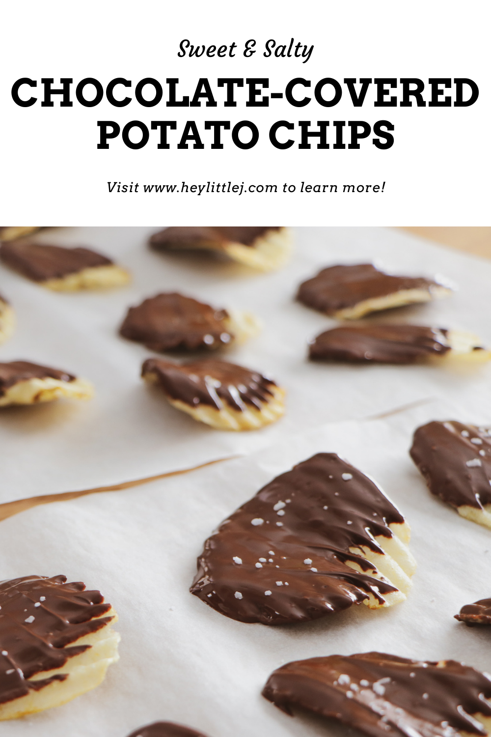 chocolate covered potato chip pin