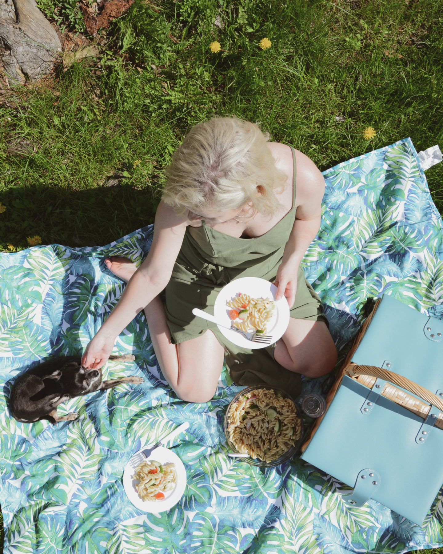 blonde woman and chihuahua with their picnic essentials